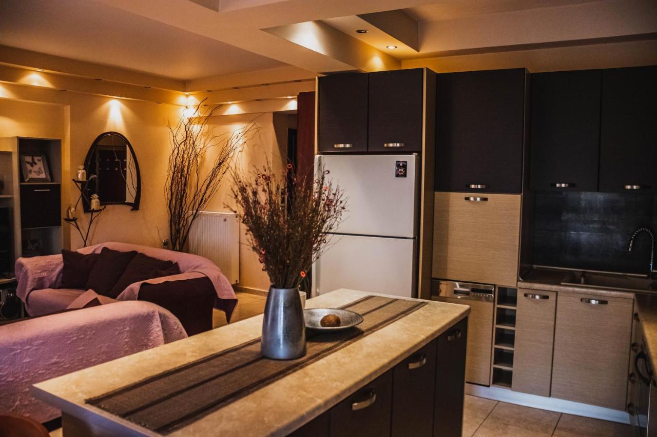 דירות לריסה Bojana' S Luxury House מראה חיצוני תמונה